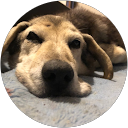 みゆなちゃん profile picture