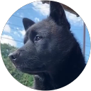 Bazil profile picture