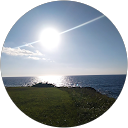 グチコ profile picture