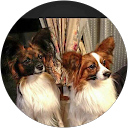 東由美子 profile picture