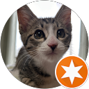 snapy profile picture