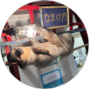 焼き肉大好き profile picture