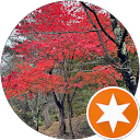 トト profile picture