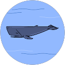 スタジアム profile picture