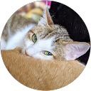 まありん profile picture