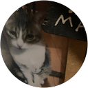 joji “ブレジョー” brennan profile picture