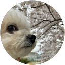 まつがさき涼子 profile picture