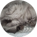 みー profile picture