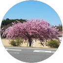 ひとみ原 profile picture