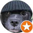 犬の飼い主 profile picture