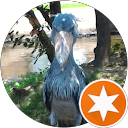 ハシビロコウ profile picture