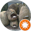 齒氏 profile picture