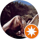 多羅尾伴内 profile picture