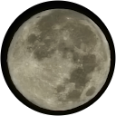 山洋 profile picture