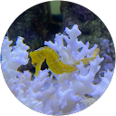 カワニシユウタ profile picture