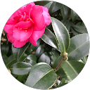 かーかー profile picture