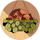 杉江明音 profile picture