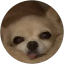 ai hibi profile picture