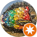 すみれ斉藤 profile picture