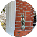 walk CAT profile picture