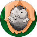 しょとーまーしゃるでぃー profile picture