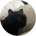 クロ profile picture