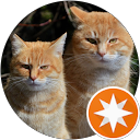 Ossann Andoro profile picture