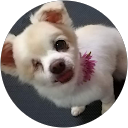 すのはらMarriageDesignAgency profile picture