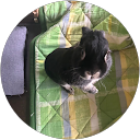 伊智郎 profile picture