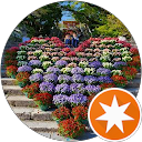 Mi Yamamon profile picture