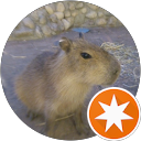 アンコズキー profile picture