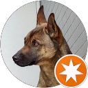 よしの profile picture