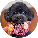 ひじき profile picture