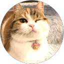 わたあめ profile picture