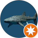 きまぐれチャンネル profile picture