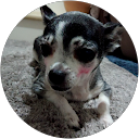 Rika Rika profile picture