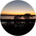 matsumoto T. profile picture