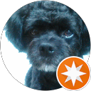 Z Hondara profile picture