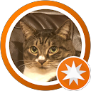 ぽん太 profile picture