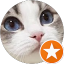 なおきゅん profile picture