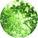 416 indoor profile picture