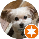 鈴木健一 profile picture