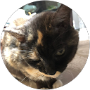 ちーちー profile picture