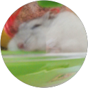 P_ Mejia (NAS) profile picture