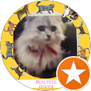 Cat Chanel profile picture