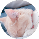 yy .4 profile picture