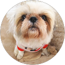 だんさん profile picture