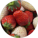 あや profile picture