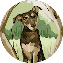 さくらすい profile picture