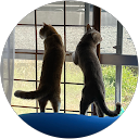 井上珠美 profile picture